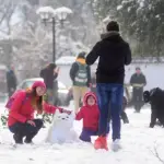 nieve