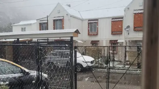 nieve