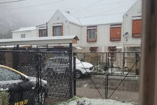 nieve