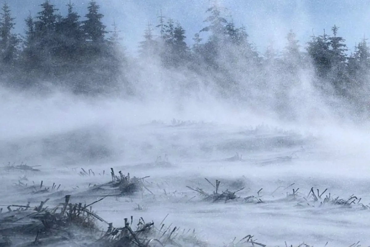 Viento blanco, Megatiempo