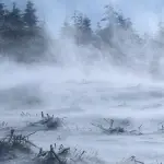 Viento blanco, Megatiempo