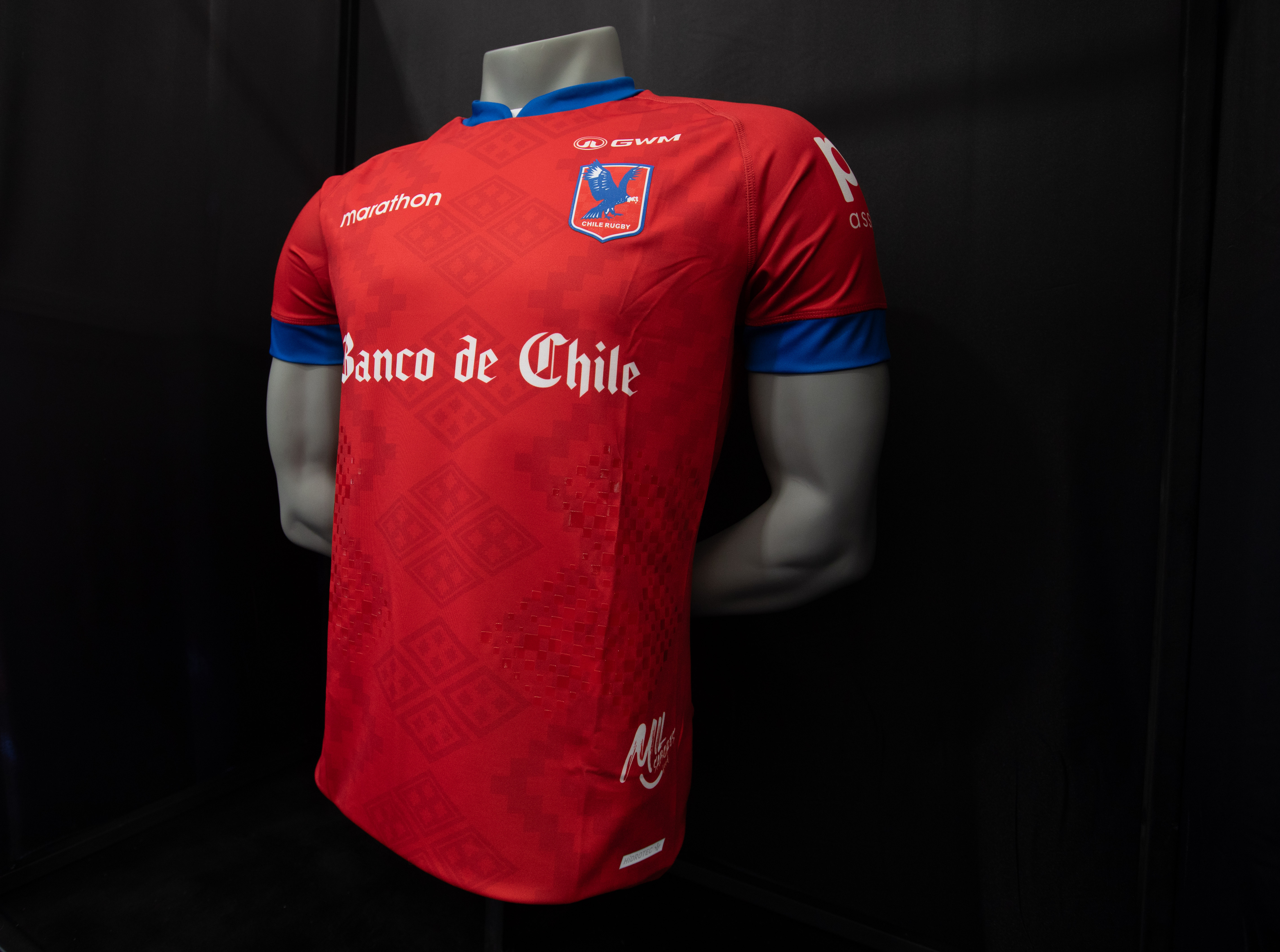 Camiseta oficial - Cedida
