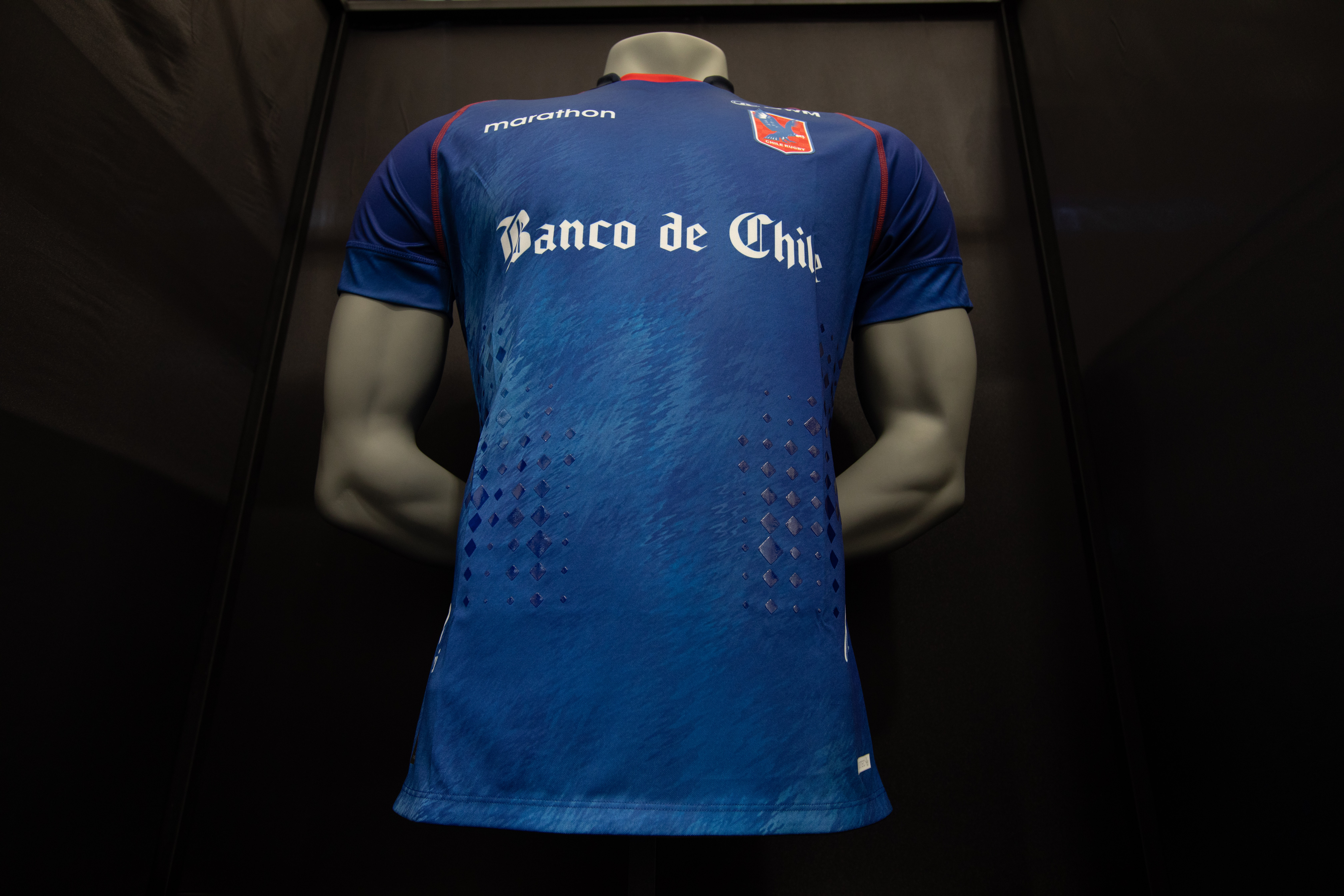 Camiseta alternativa - Cedida