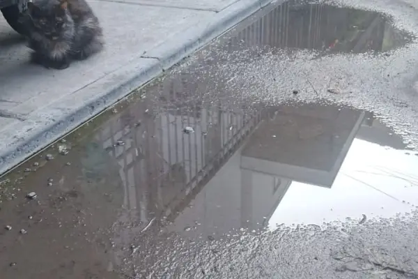 Aguas servidas Renca  ,Cedida