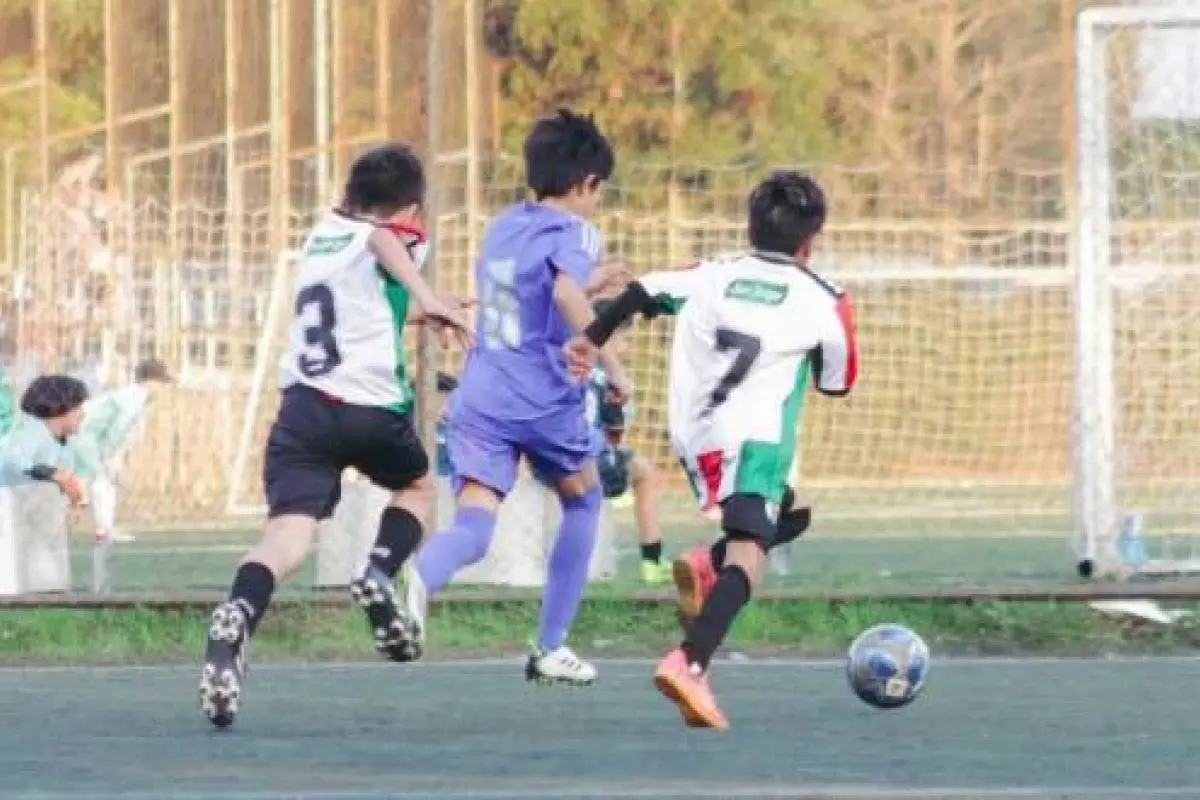 Liga Promoción, Haciendo Amigos