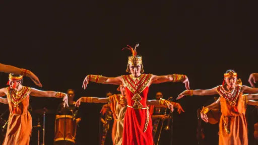 Bafochi Sinfónico llega al Teatro Municipal de Viña del Mar con una propuesta artista única, Cedida