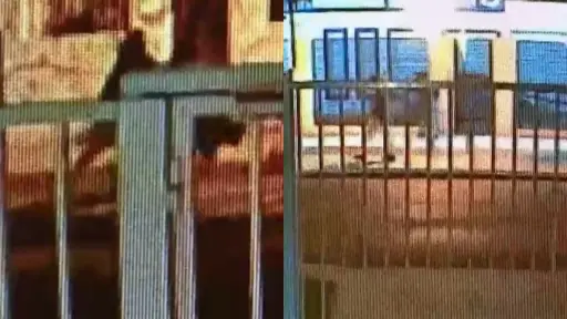 Nieto de Ricardo Lagos fue interceptado por tres delicuentes, Captura