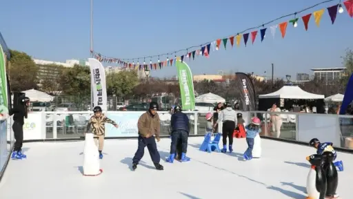 Pista de hielo en La Florida, Instagram