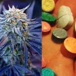 Preocupación en Chile: El país figura entre los países con mayor consumo de marihuana y éxtasis en Sudamérica, según la ONU, Cedido