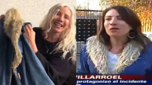 Así luce hoy la mujer protagonista del viral ''Instinto de madre leona'', Captura de redes sociales