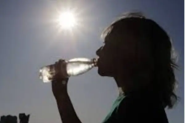 Ola de calor