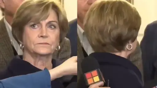 Evelyn Matthei se retiró del punto de prensa, Captura