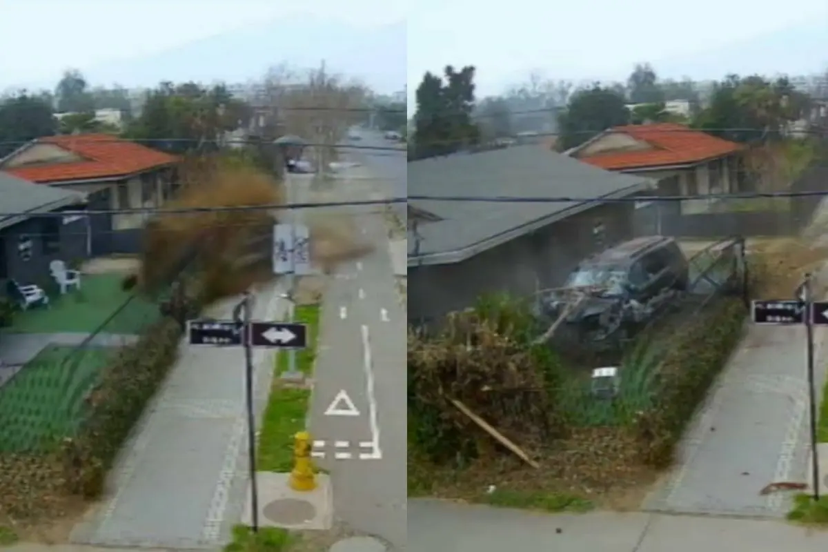 La violenta colisión en avenida Echeñique, Captura