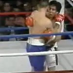 boxeador