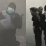 Dramático rescates de guaguas en incendio, Captura | Canal 13