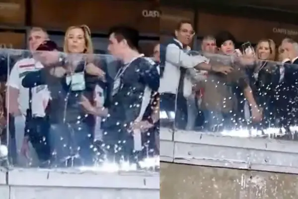 La mujer fue grabada por los hinchas brasileños ,Captura