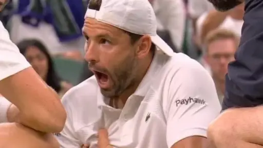 Grigor Dimitrov se tuvo que retirar tras dolencia, Captura