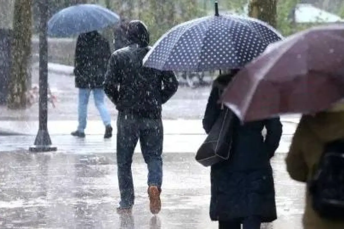 Ciclón extratropical , Redes sociales | Referencial