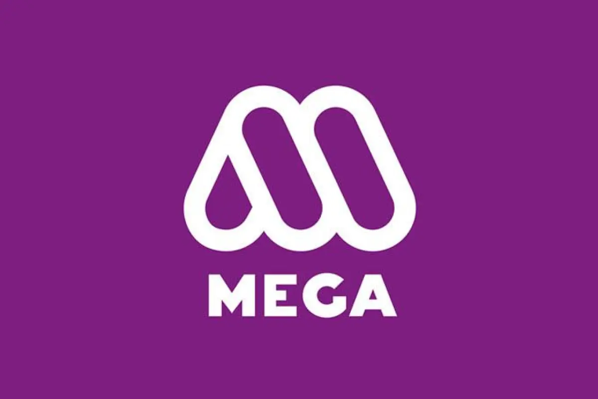 Mega, Redes Sociales