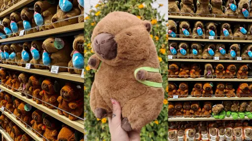 Decora con capibaras: la tendencia más adorable llegó a Newtree , Cedida
