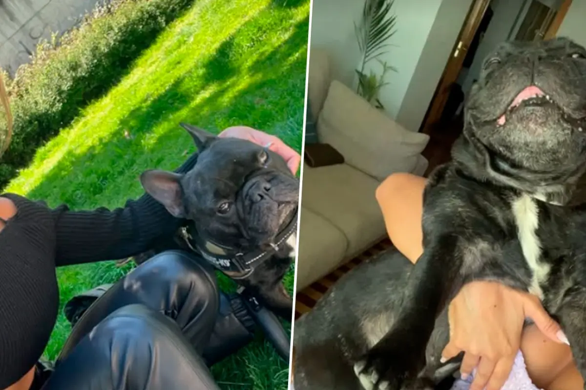 Oriana y Cocco , Redes sociales 