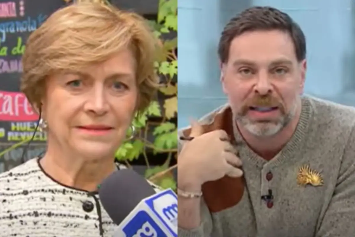 Evelyn Matthei y José Antonio Neme, Captura de pantalla