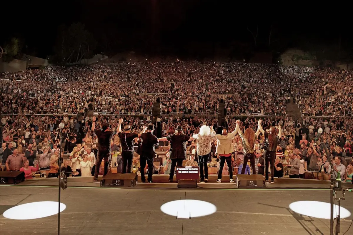 Toto vuelve a Chile , Cedida