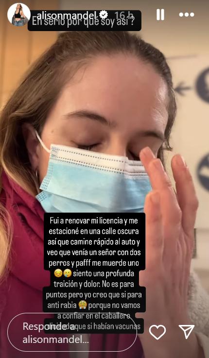 Historia de Alison Mandel - Captura de pantalla - AR13