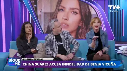 Panel Sígueme, Captura