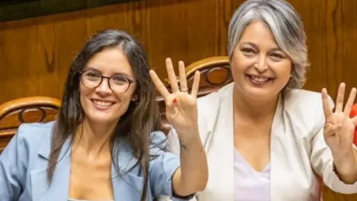 Camila Vallejo mirará de lejos la candidatura de Jeannette Jara, Instagram