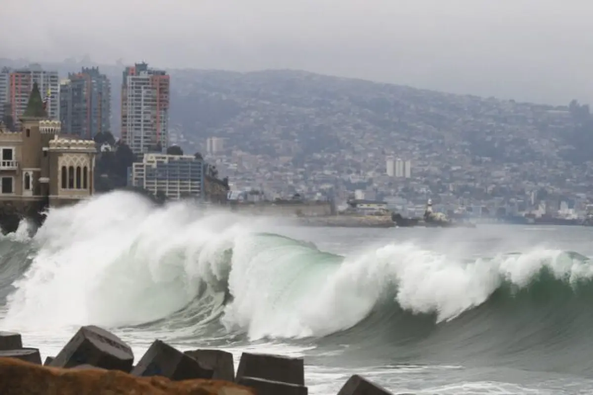 Tsunami, Redes Sociales