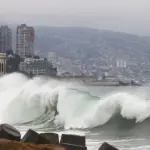 Tsunami, Redes Sociales
