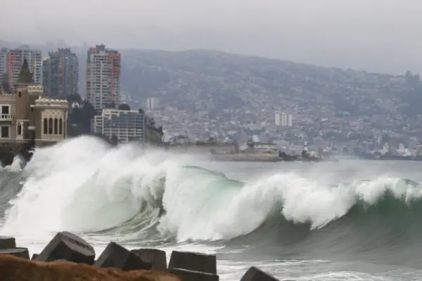 Tsunami ,Redes Sociales