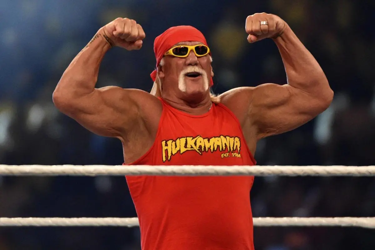 Hulk Hogan,   