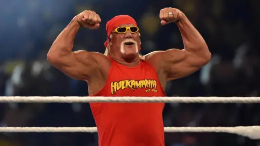 Hulk Hogan,   