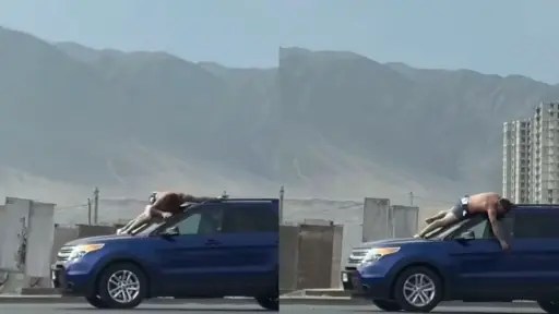 Hombre semidesnudo en Antofagasta, Captura de pantalla 