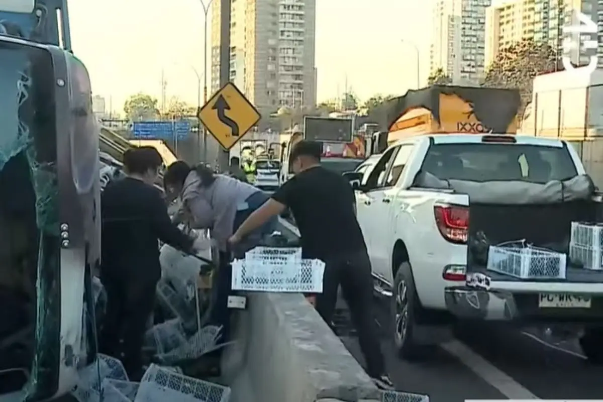 La gente se llevó las paltas para la casa, Captura