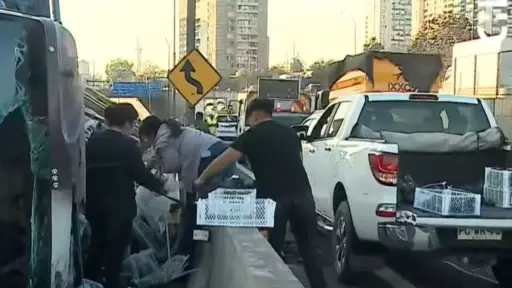 La gente se llevó las paltas para la casa, Captura