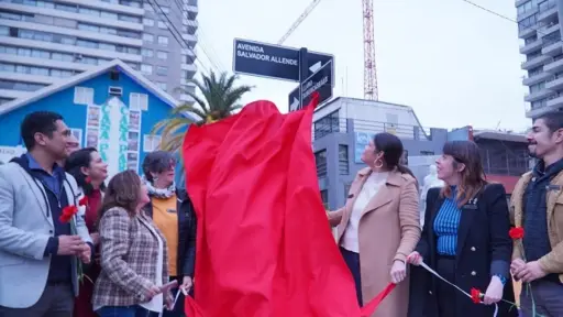 No alcanzó a durar dos años la Avenida Salvador Allende, red X