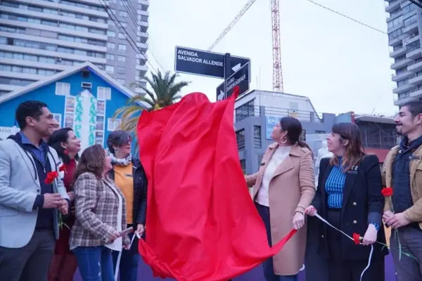 No alcanzó a durar dos años la Avenida Salvador Allende ,red X