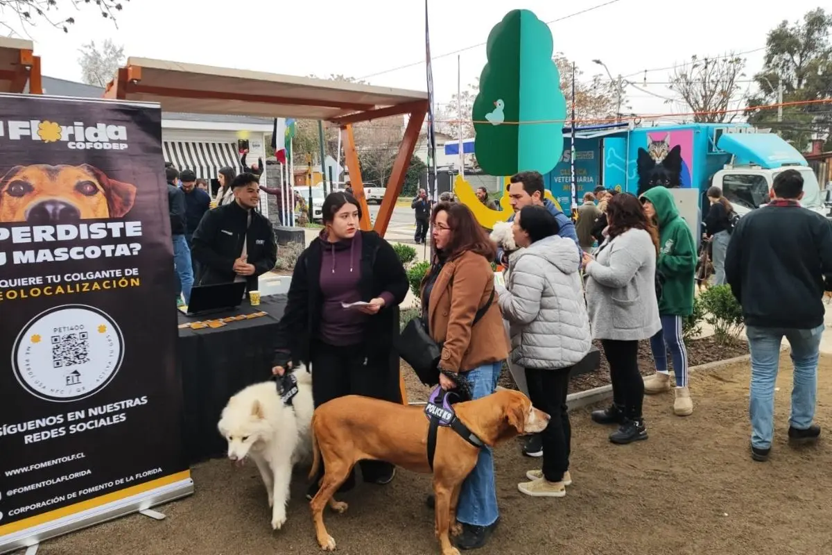 Moderno collar para mascotas de La Florida, Cedida