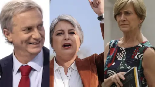 Evelyn Matthei