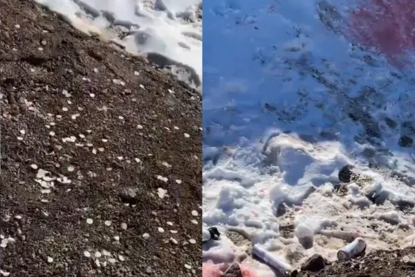 Desechos quedaron repartidos en medio de la naturaleza ,Captura