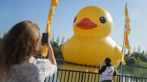 Pato gigante vuelve a Santiago, Redes sociales | X