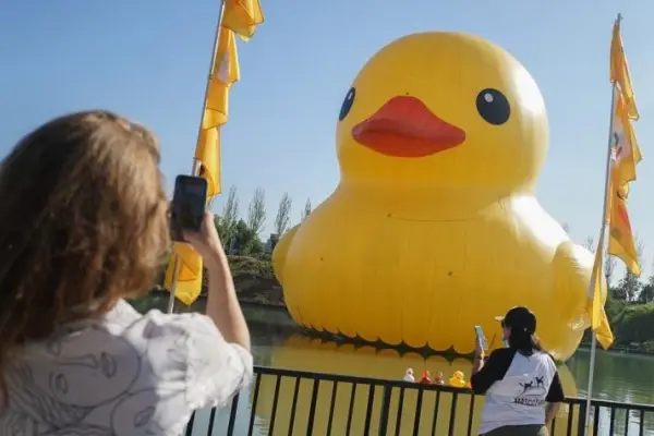 Pato gigante vuelve a Santiago ,Redes sociales | X
