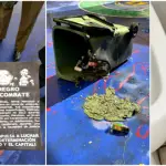 Alcalde Sichel denuncia hallazgo de bombas molotov listas dentro de colegio en Ñuñoa,   