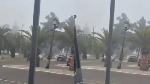 El hombre decidió grabar los movimientos de su mujer, Captura