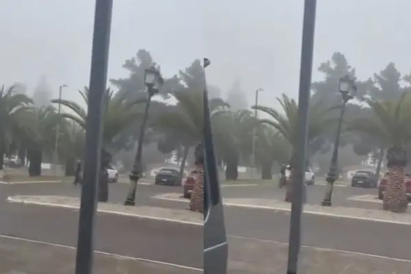 El hombre decidió grabar los movimientos de su mujer ,Captura