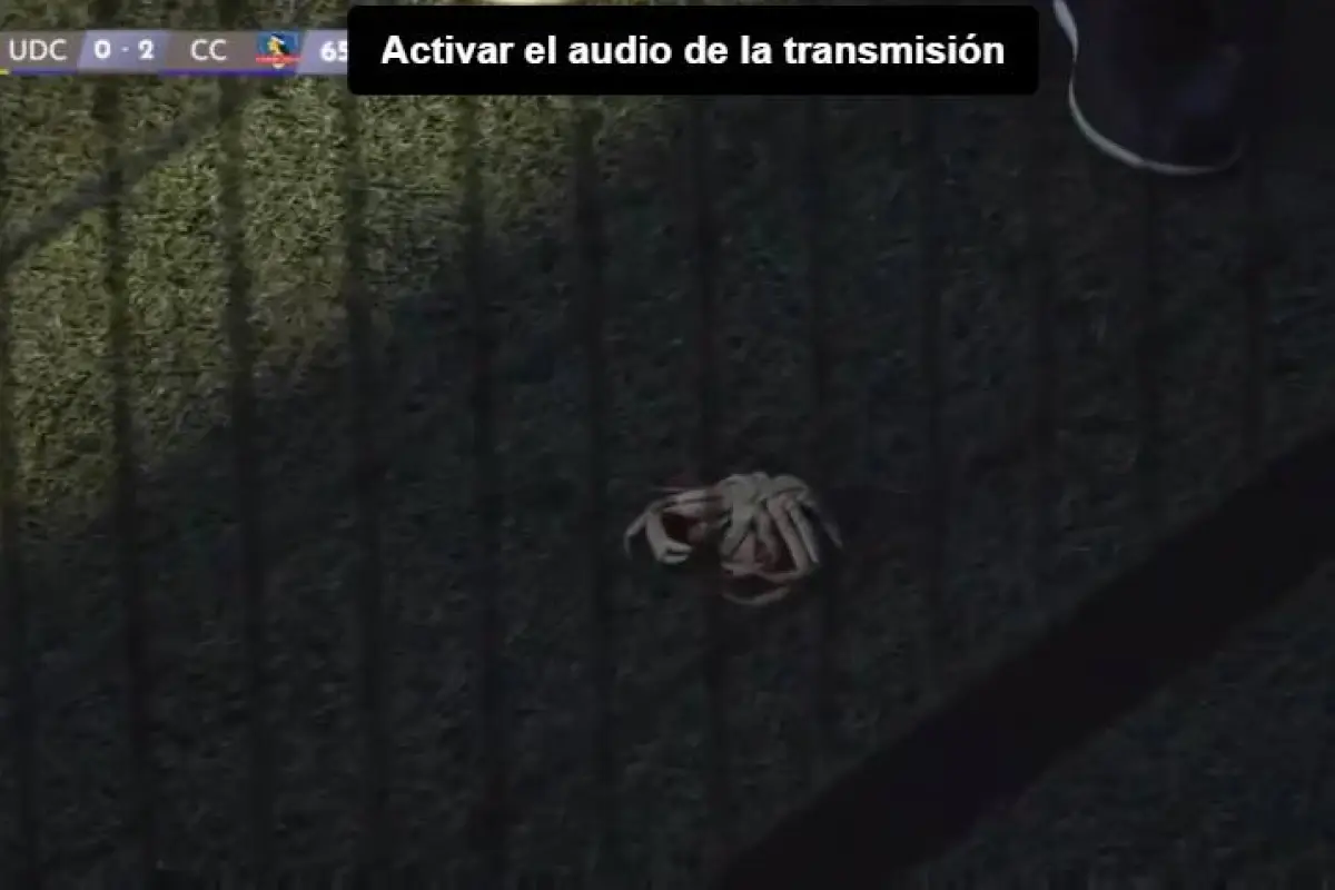 Jaiba en partido de fútbol femenino, Captura de pantalla