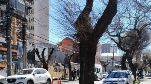 Concepción